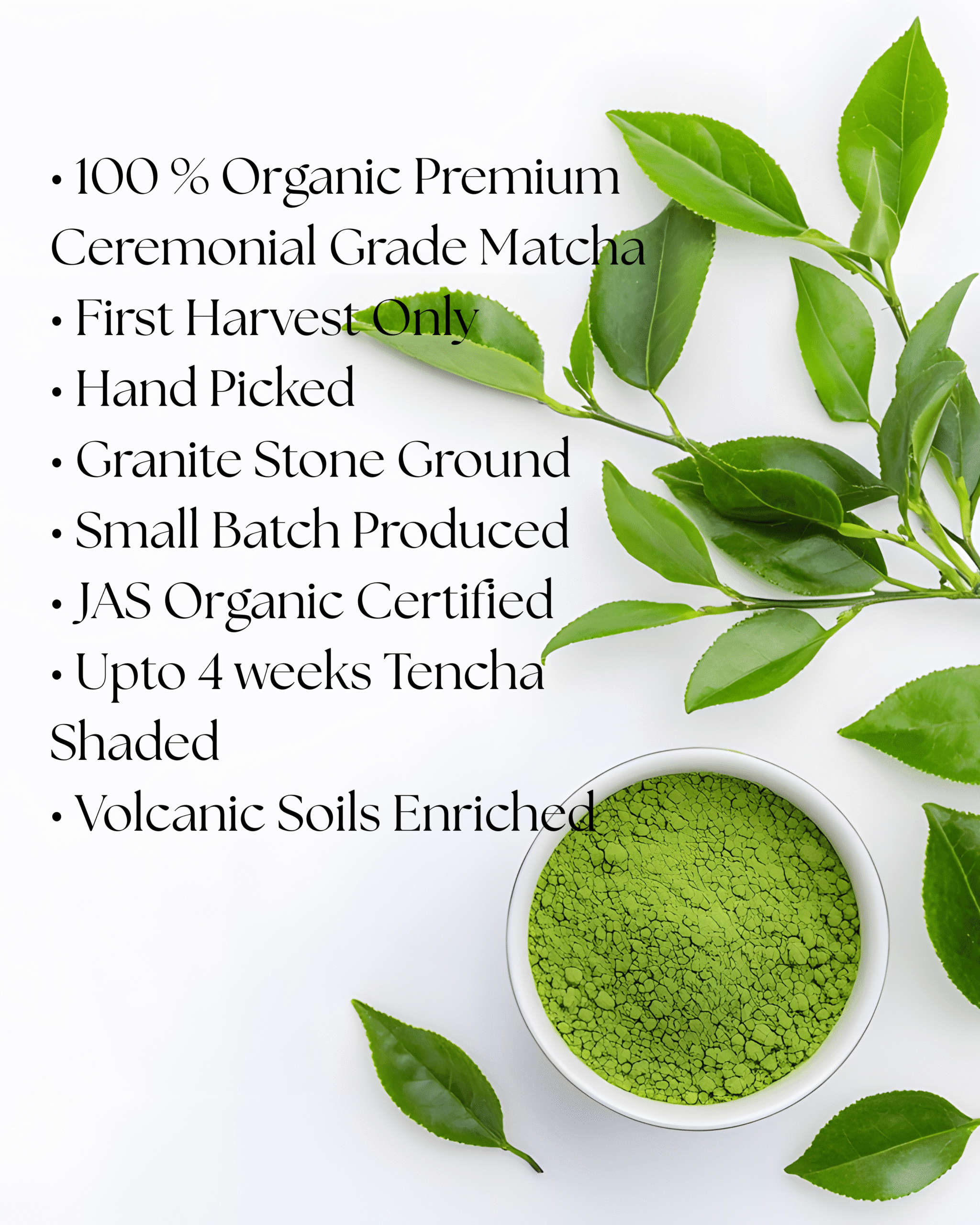 Organic Premium Ceremonial Matcha - Shizuoka - Image 2